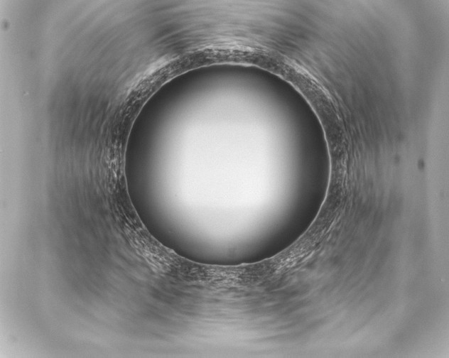 X0000088040870200705111228