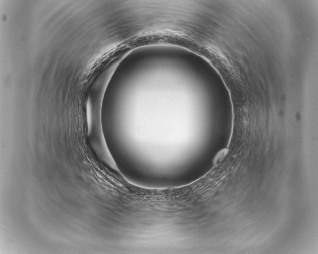 X0000088040872200705111228