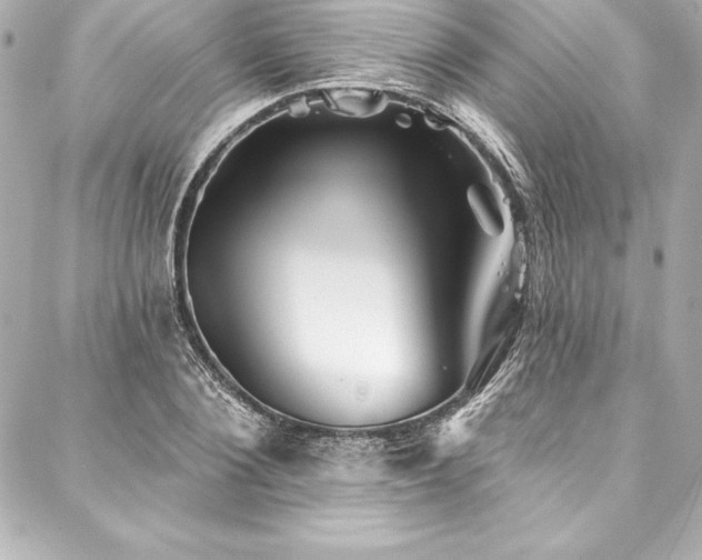 X0000088040884200705111228