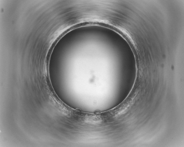 X0000088040887200705111228