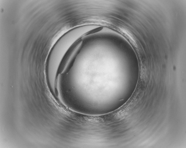 X0000088040899200705111228