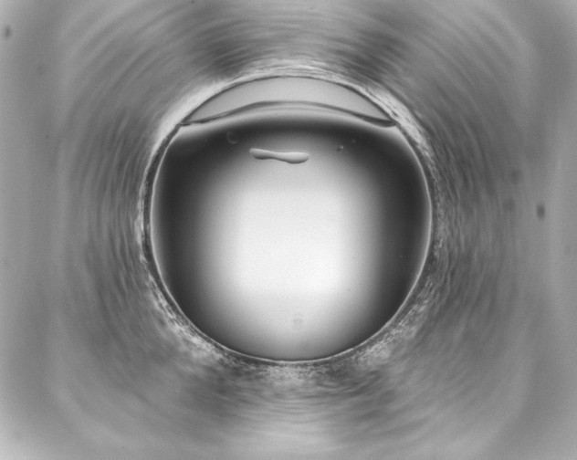 X0000088040904200705111228