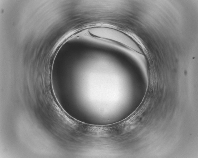 X0000088040910200705111228