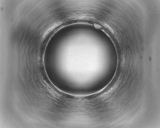 X0000088040922200705111227