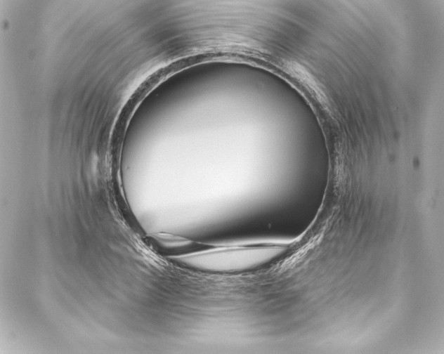 X0000088040924200705111227