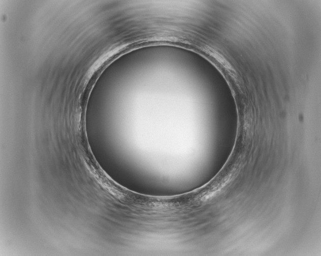 X0000088040933200705111227