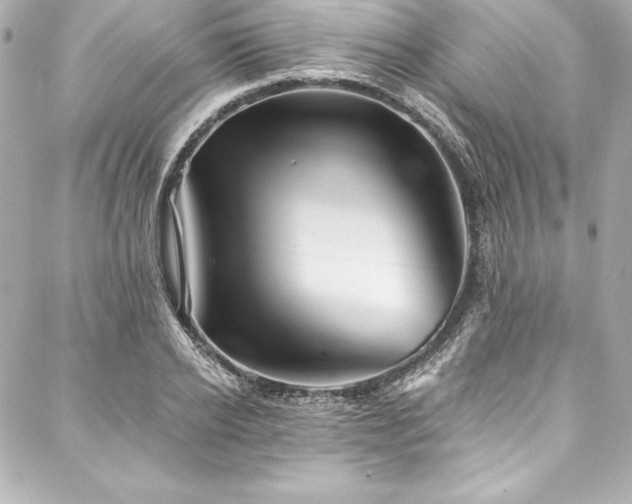 X0000088040934200705111227