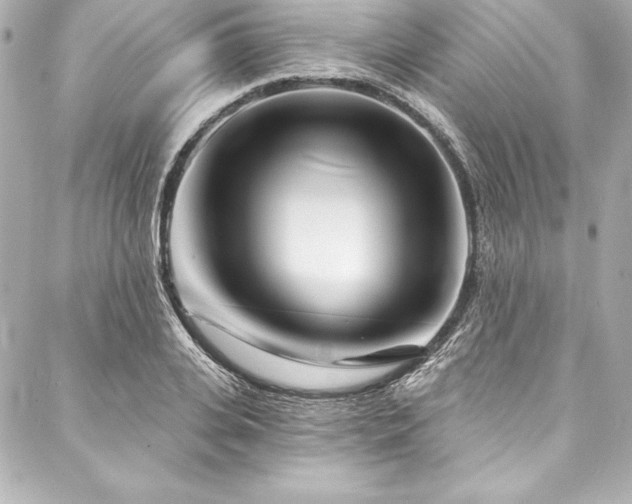X0000088040935200705111227