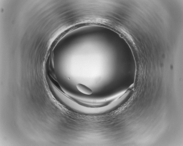 X0000088040936200705111227