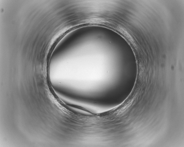 X0000088040939200705111227