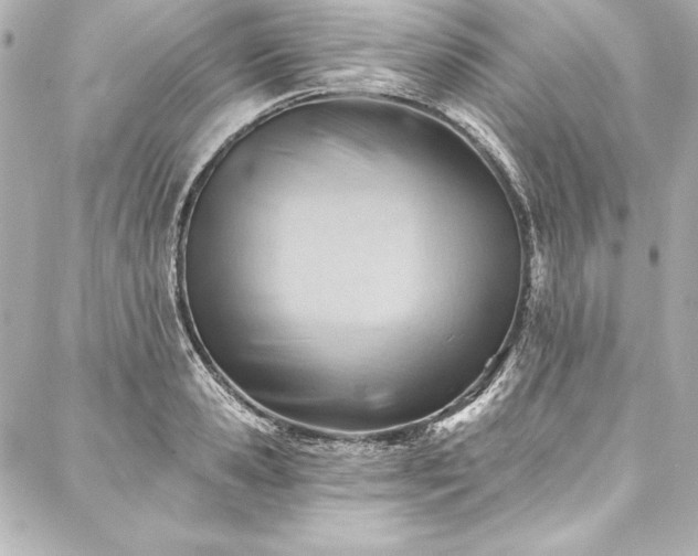 X0000088040941200705111227