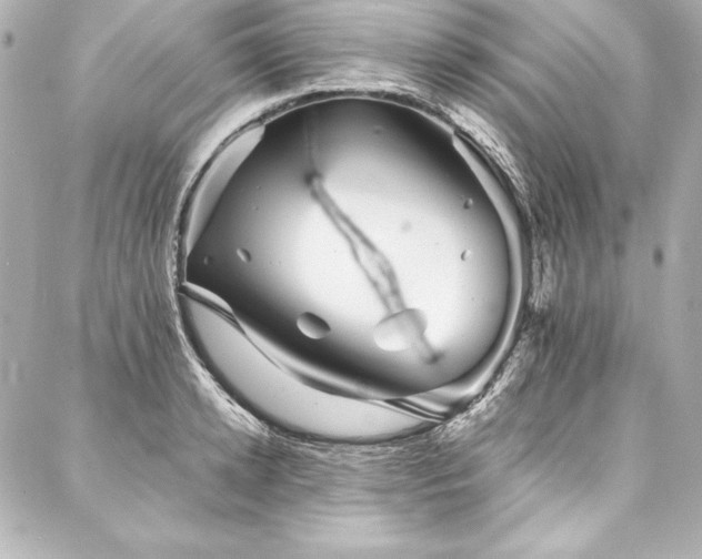 X0000088040942200705111227