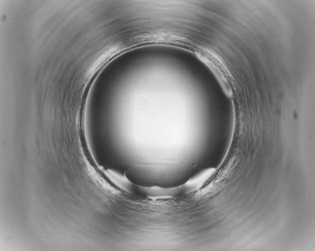 X0000088040946200705111227