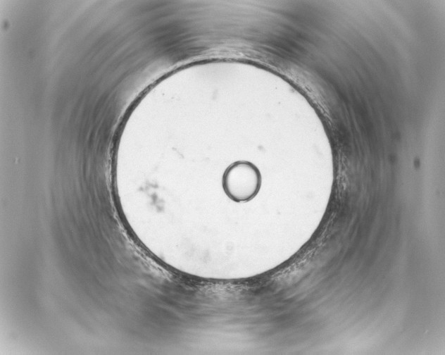 X0000088040950200705111227