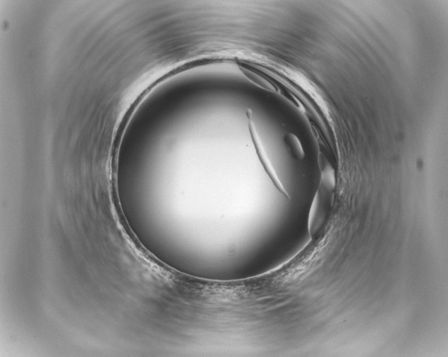 X0000088040951200705111227