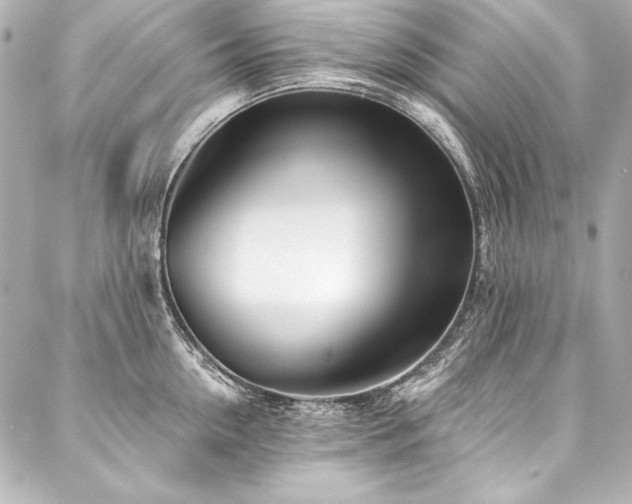 X0000088040954200705111227