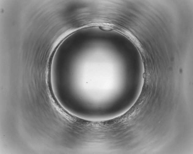 X0000088040955200705111227