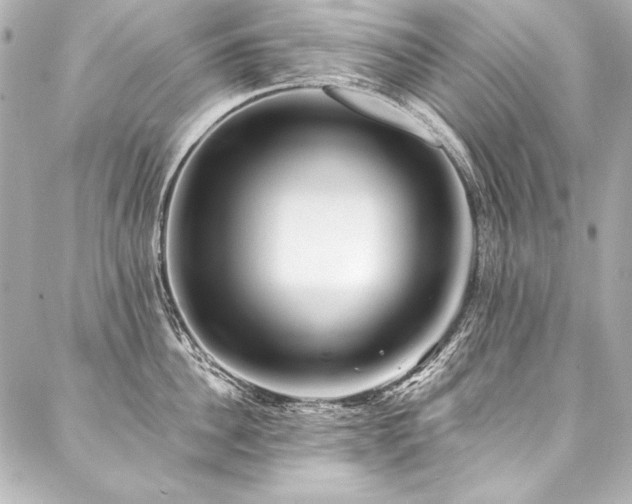 X0000088040956200705111227