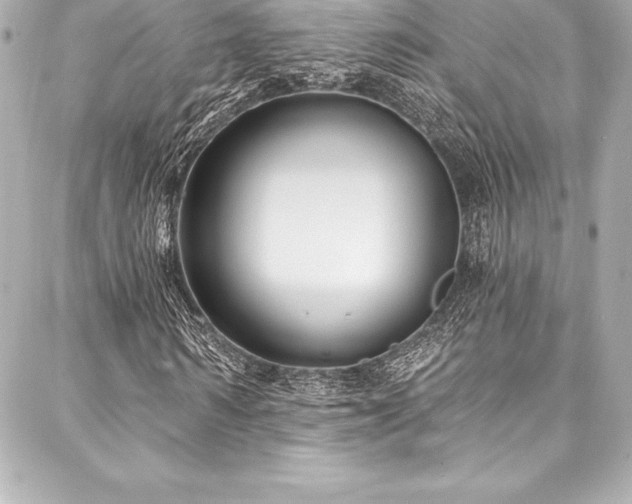 X0000088040962200705111227