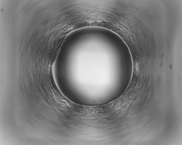 X0000088040963200705111227