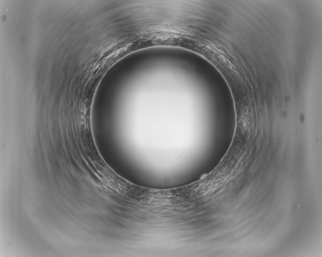 X0000088040964200705111227