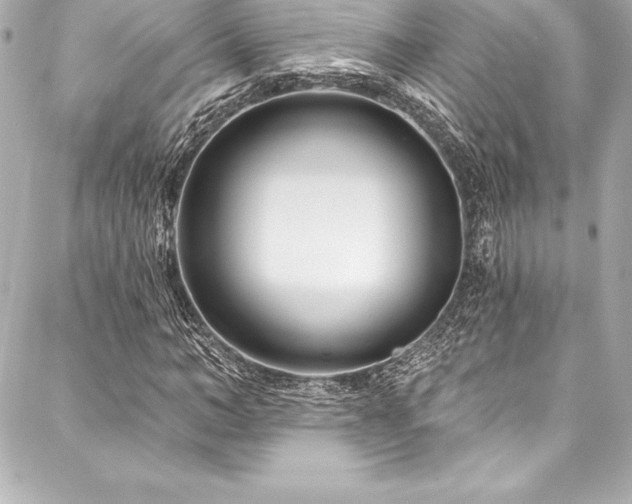 X0000088040966200705111227