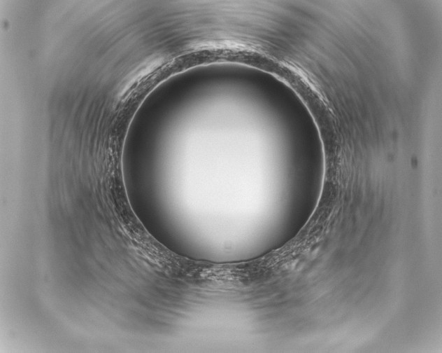 X0000088040967200705111227