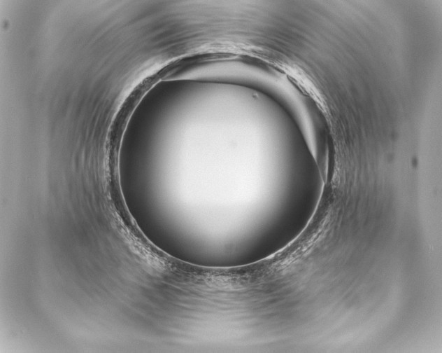 X0000088040976200705111227