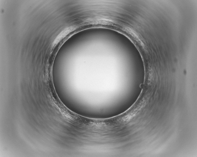 X0000088040978200705111227