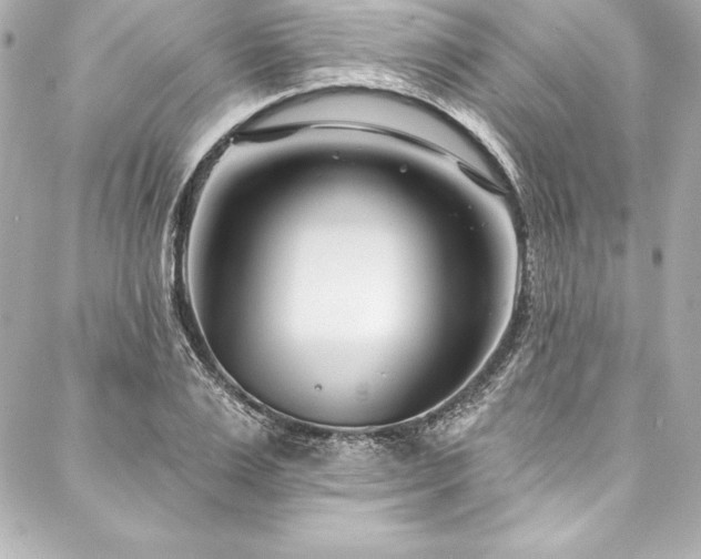 X0000088040983200705111226