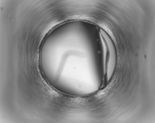 X0000088040992200705111226