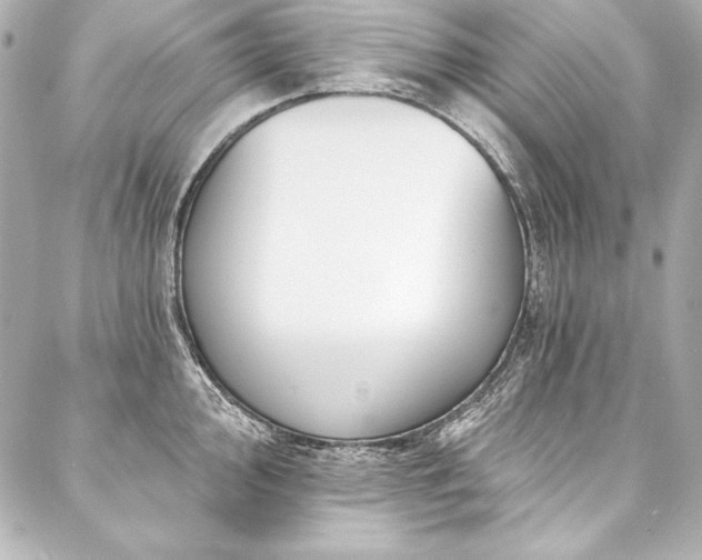 X0000088041000200705111226