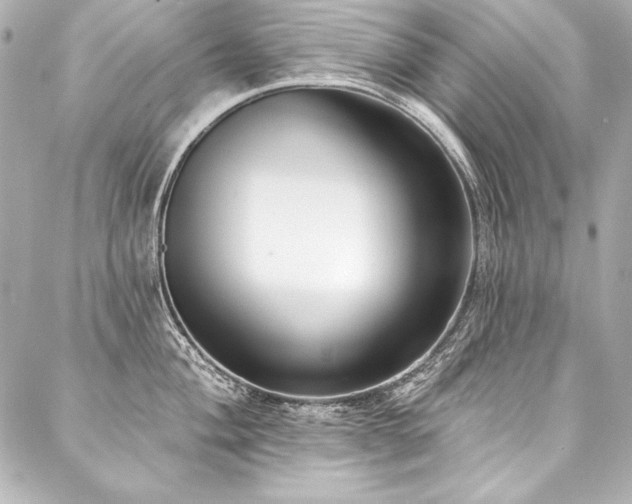 X0000088041004200705111226