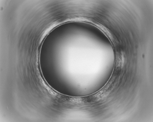 X0000088041006200705111226