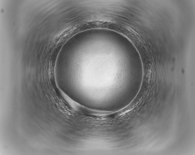 X0000088041014200705111225