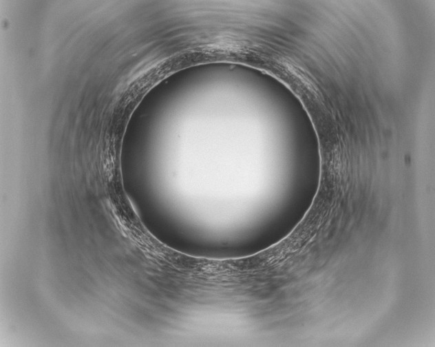 X0000088041015200705111225