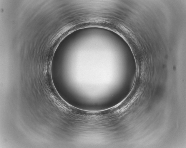 X0000088041017200705111225