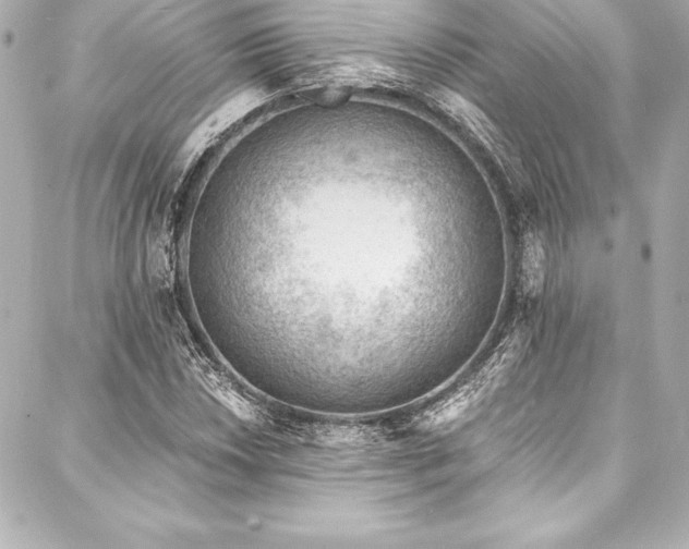 X0000088041018200705111225