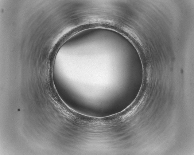 X0000088041021200705111225