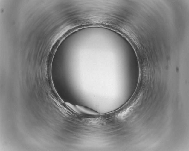 X0000088041023200705111225