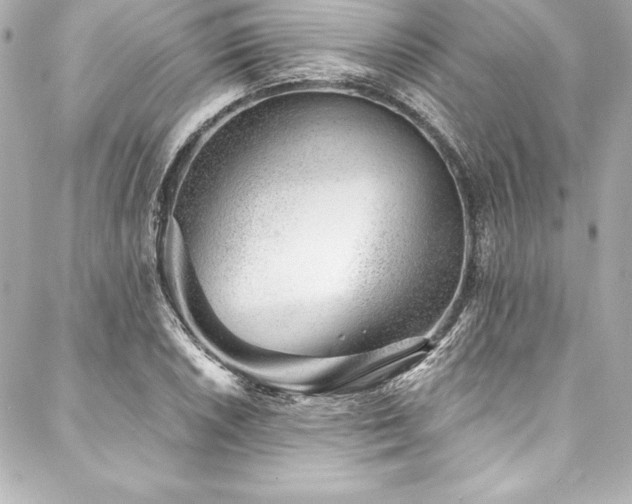 X0000088041026200705111226