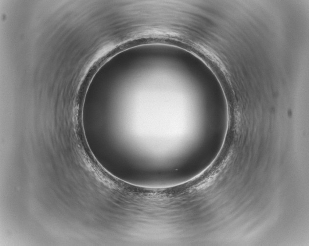 X0000088041029200705111226