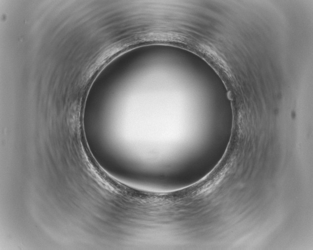 X0000088041033200705111226