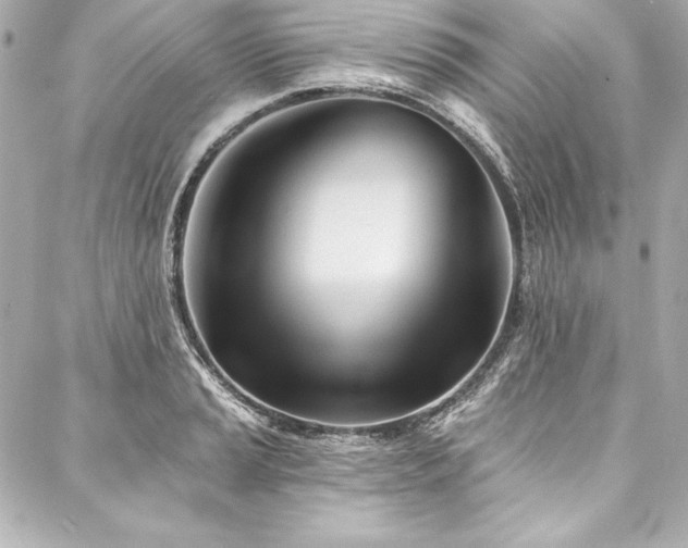 X0000088041037200705111226