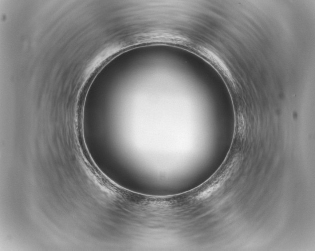 X0000088041043200705111226