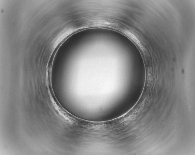 X0000088041047200705111226