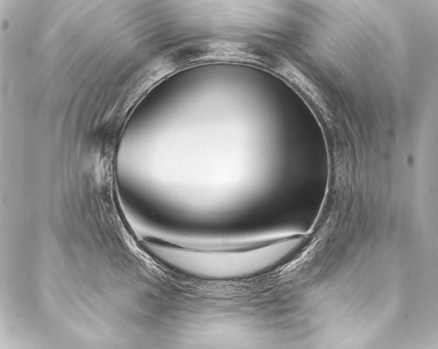 X0000088041049200705111226