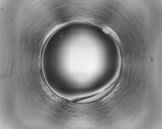X0000088041052200705111226