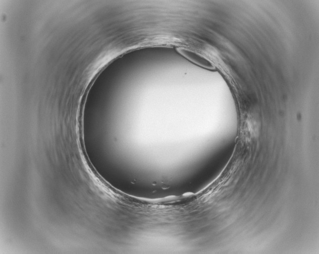 X0000088041055200705111226