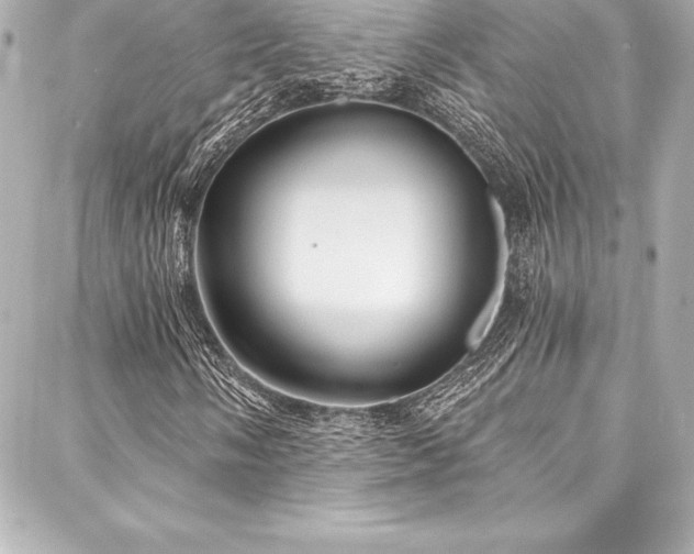 X0000088041058200705111225